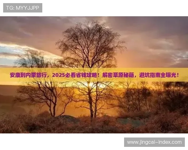 玩球提现不到账防骗避坑指南极速提现诀窍 玩球提现不到账防骗避坑指南极速提现诀窍